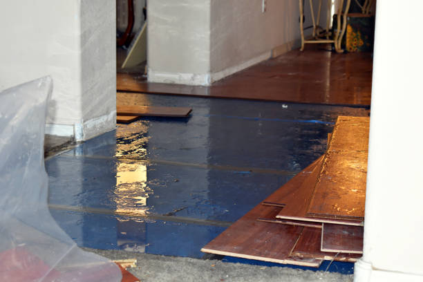 Professional Sewage Cleanup technician working in Watertown, NY